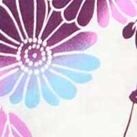 紫菊柄